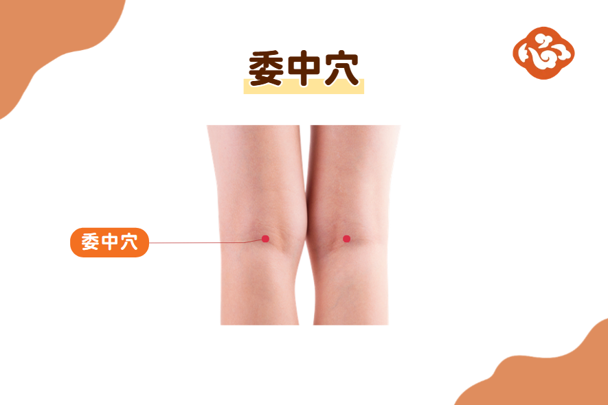 委中穴位於膝蓋後方、膝膕窩中央。日常可輕敲兩側委中穴,幫助放鬆腰背與腿後側緊繃;若腰痛合併明顯腿麻、電流感或走路無力,應先就醫檢查。(醫道心傳製作組/大紀元)